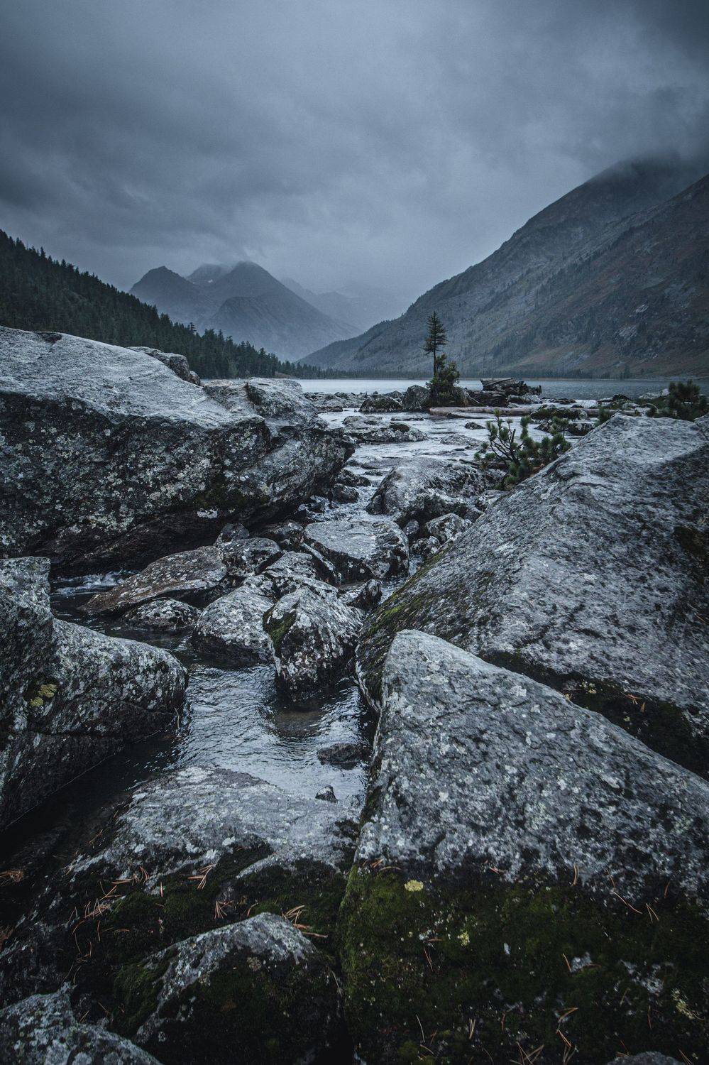 , Александр Казин