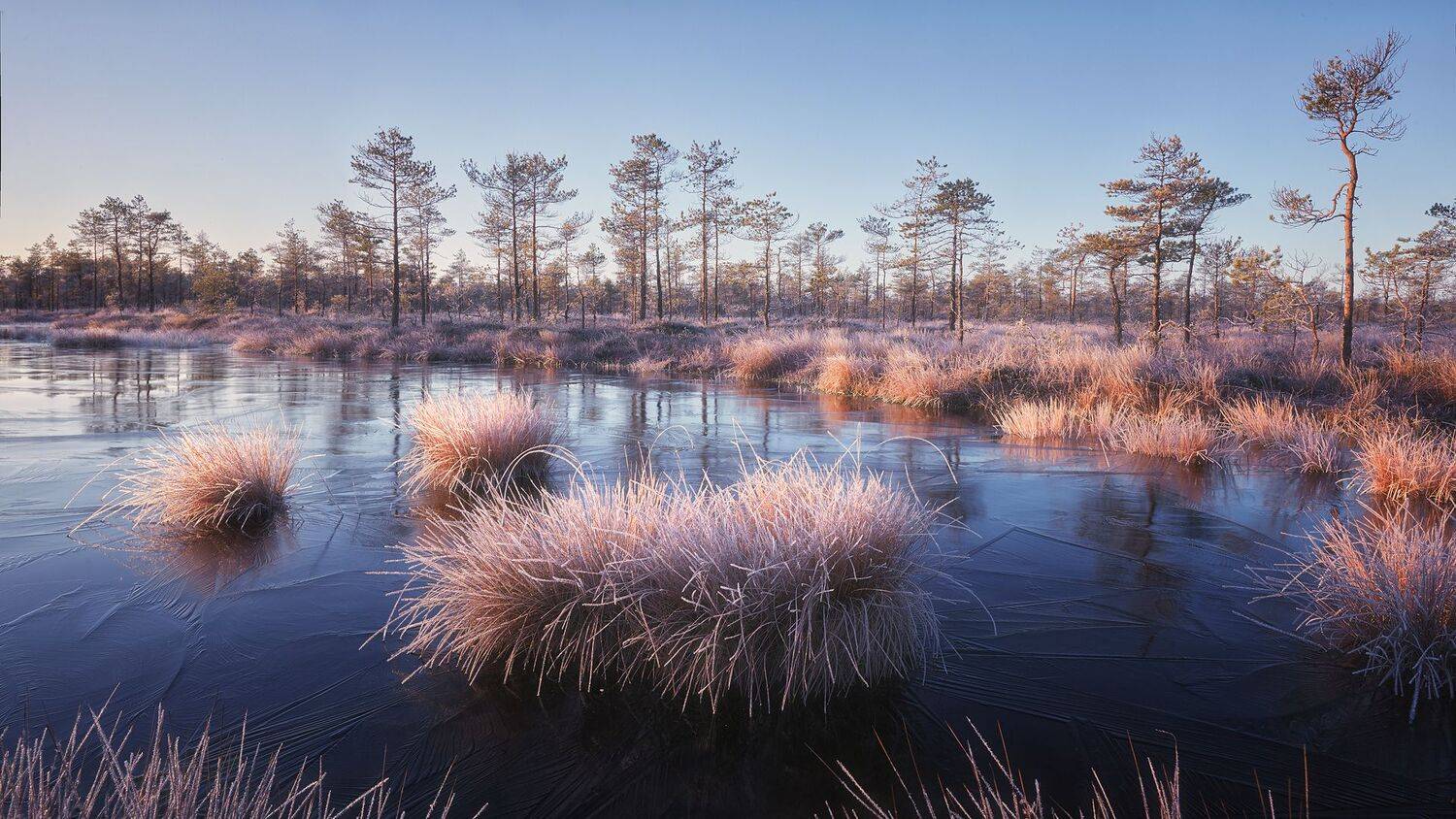 , Антон Кононов
