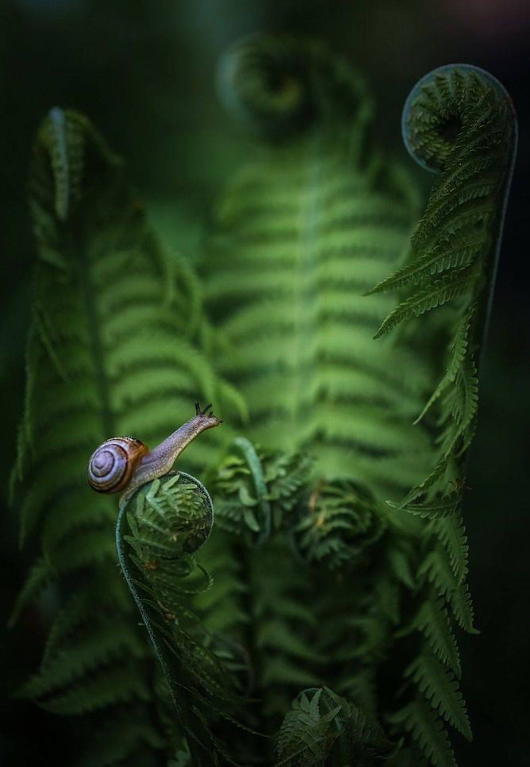 , Вячеслав Мищенко