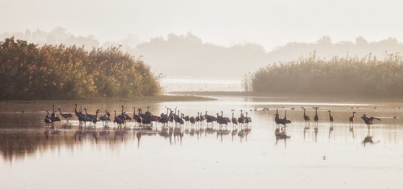 Crane\'s Lake фото превью
