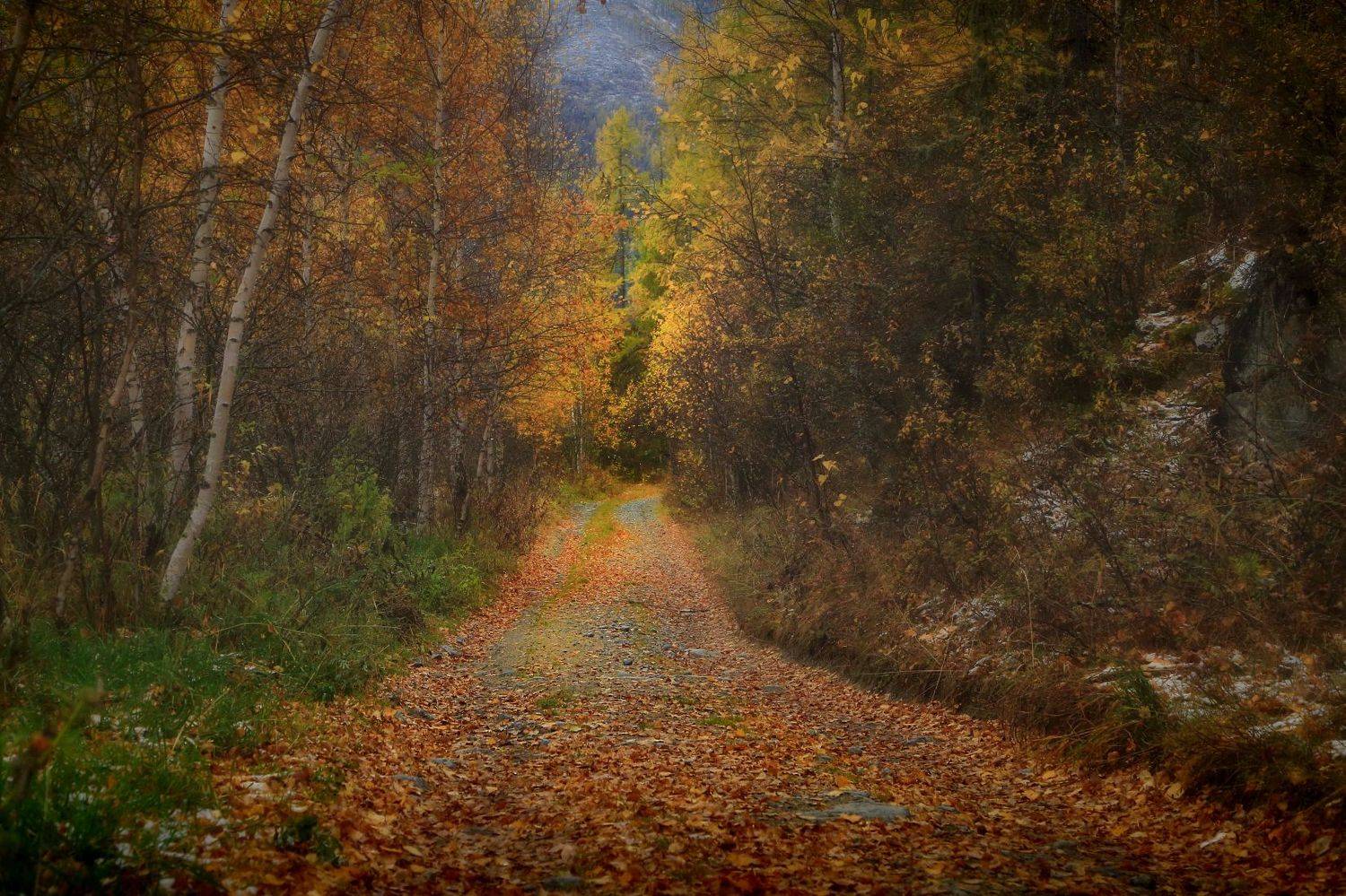 , Евгений Зинов