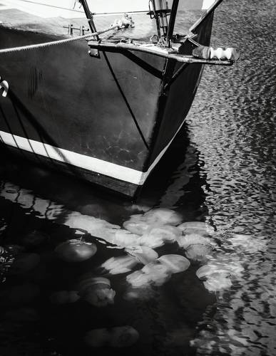 Напоследок о сущностях бездны.