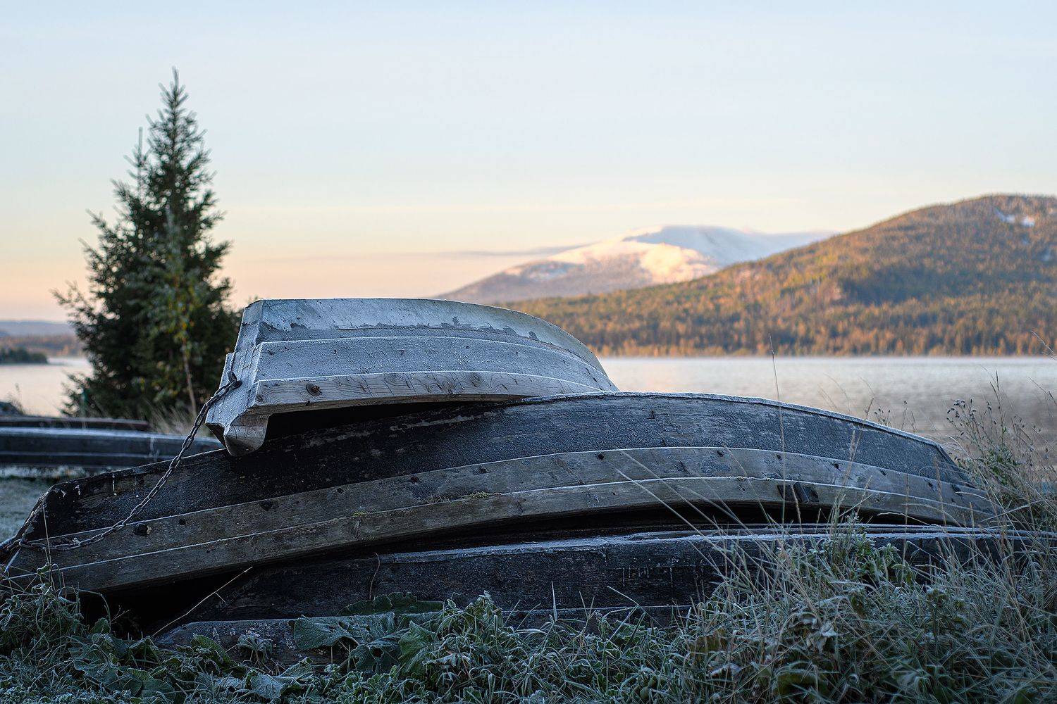 , Денис Храмеев