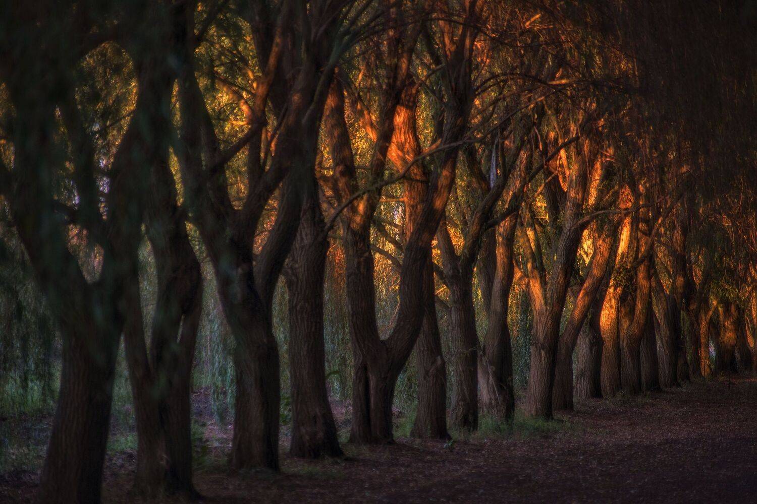 , Павел Сагайдак