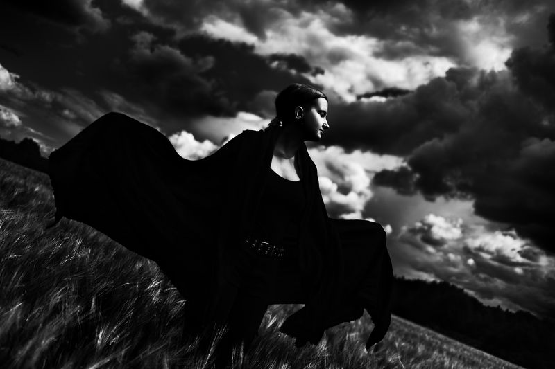 Чёрный лебедь. фото превью