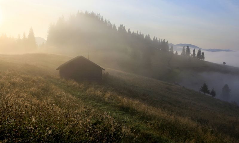 Утренняя свежесть фото превью