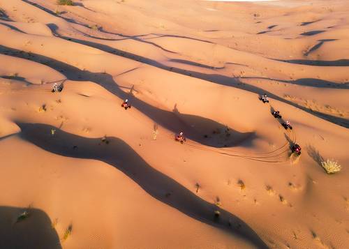 Playing in desert