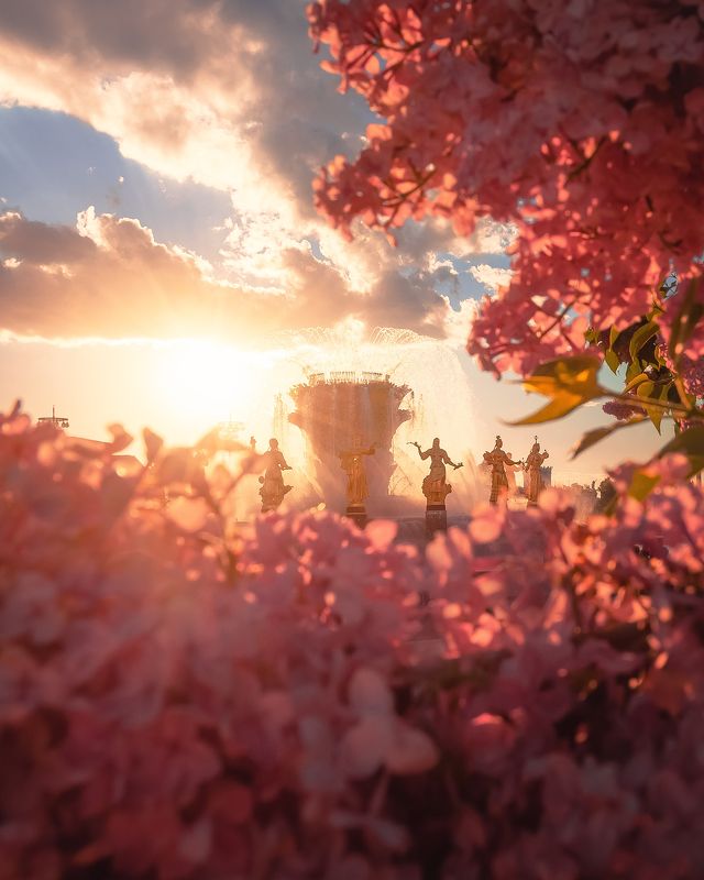 вднх, фонтан, весна, цветы, сирень, Moscow, architecture, fountain, москва, город ВДНХ фото превью