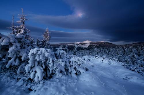 The Brightest Night...
