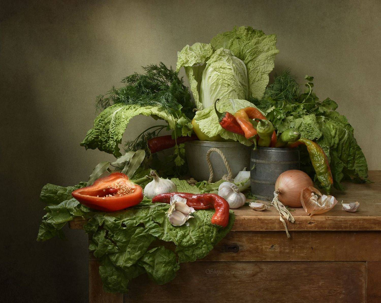 , Шипунова Ирина