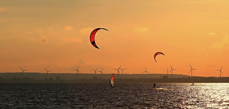 surfers фото превью