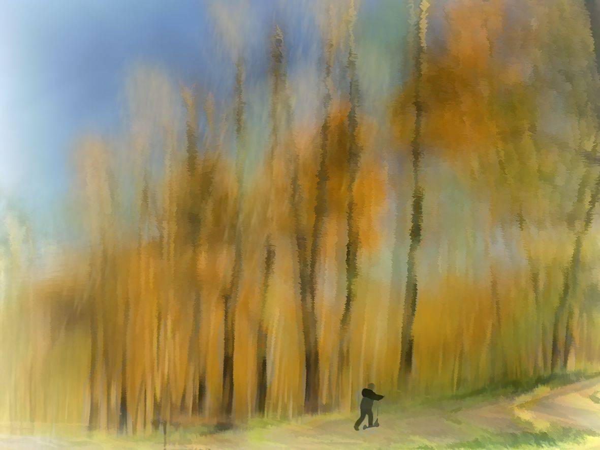 , T. Bondarenko