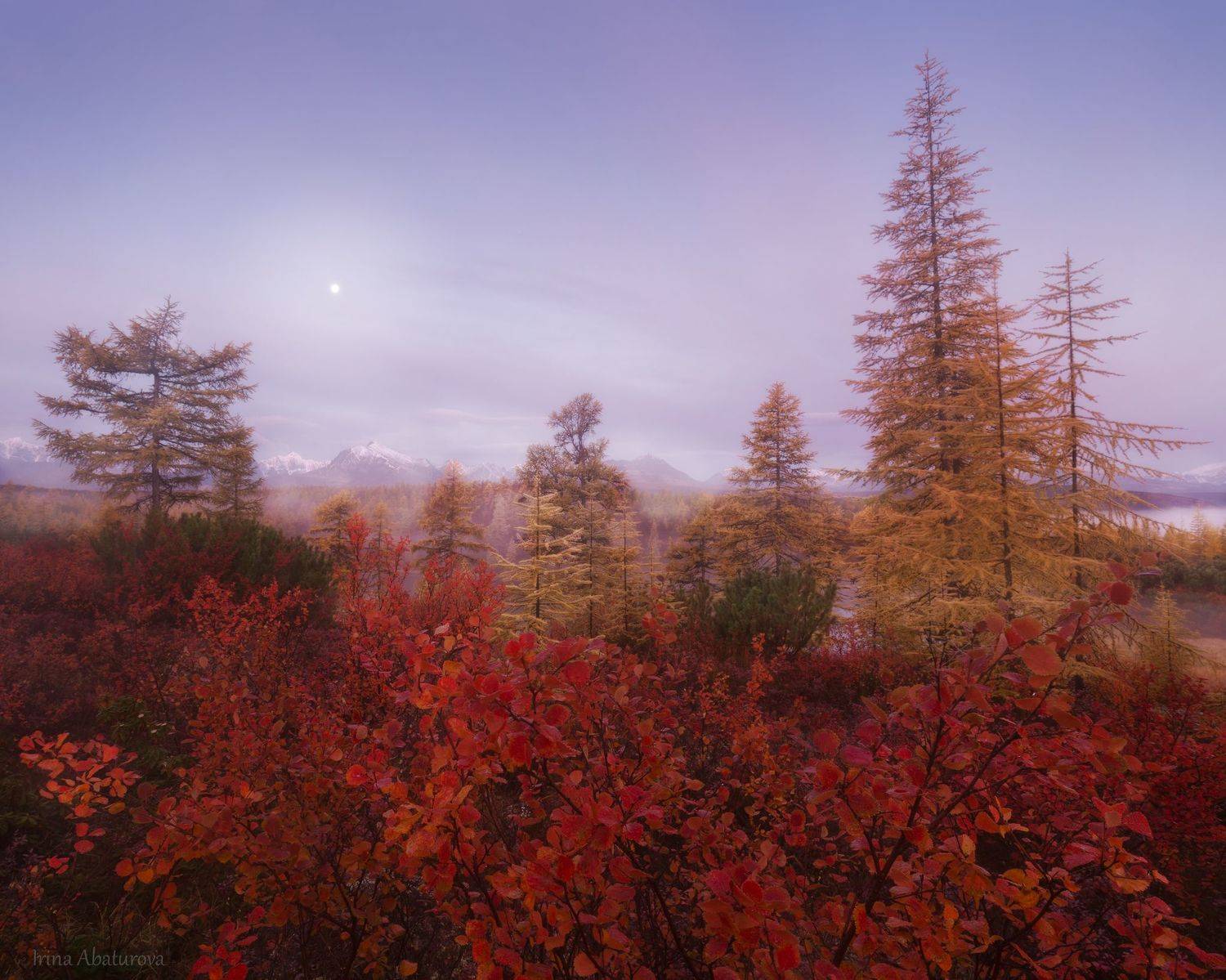 Колыма, Магадан, озеро Джека Лондона, осень, Ирина Абатурова