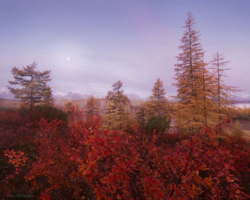 Колыма, Магадан, озеро Джека Лондона, осень Утро на плато Стоозерка фото превью