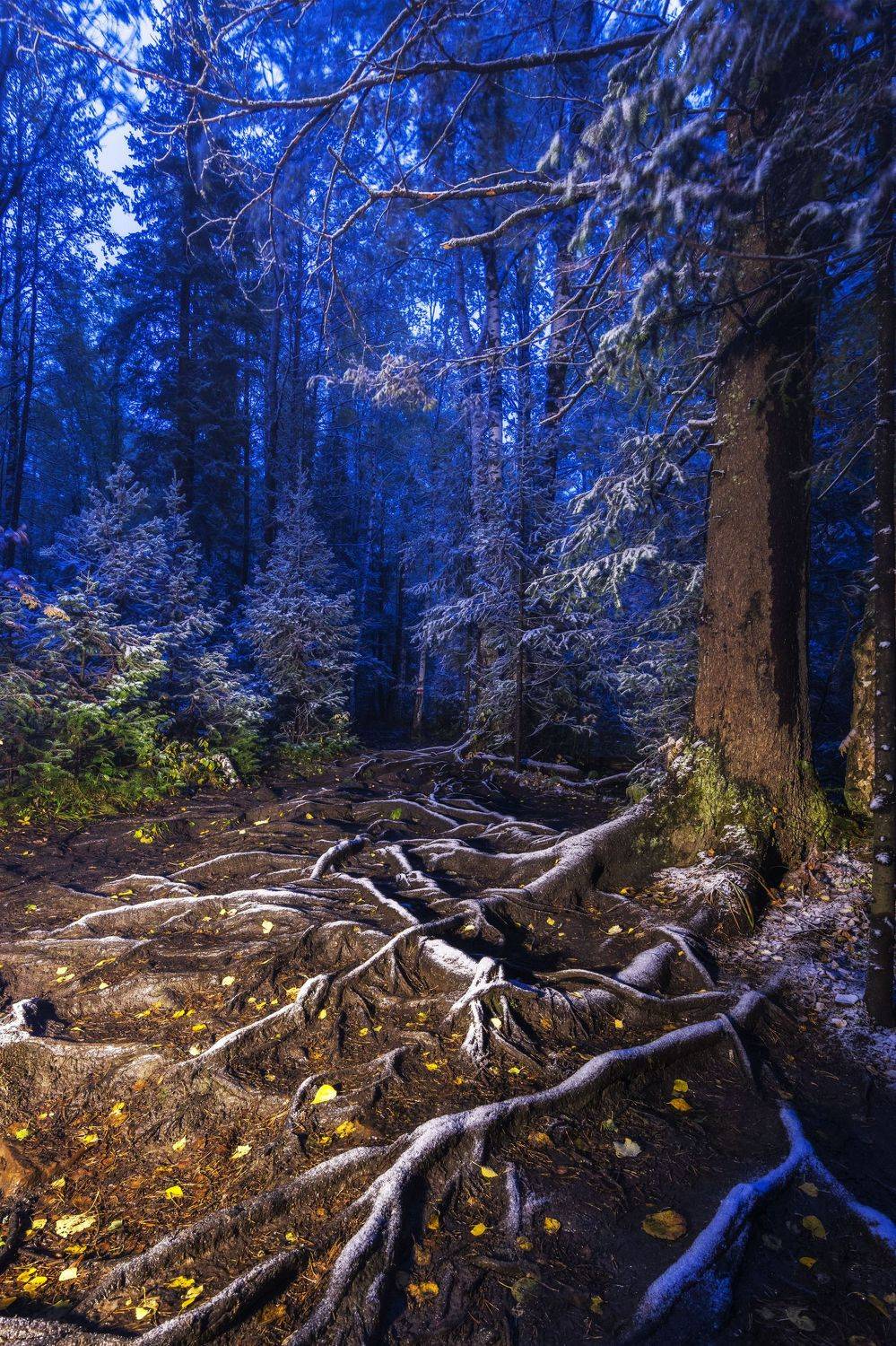 , Андрей Шарапов