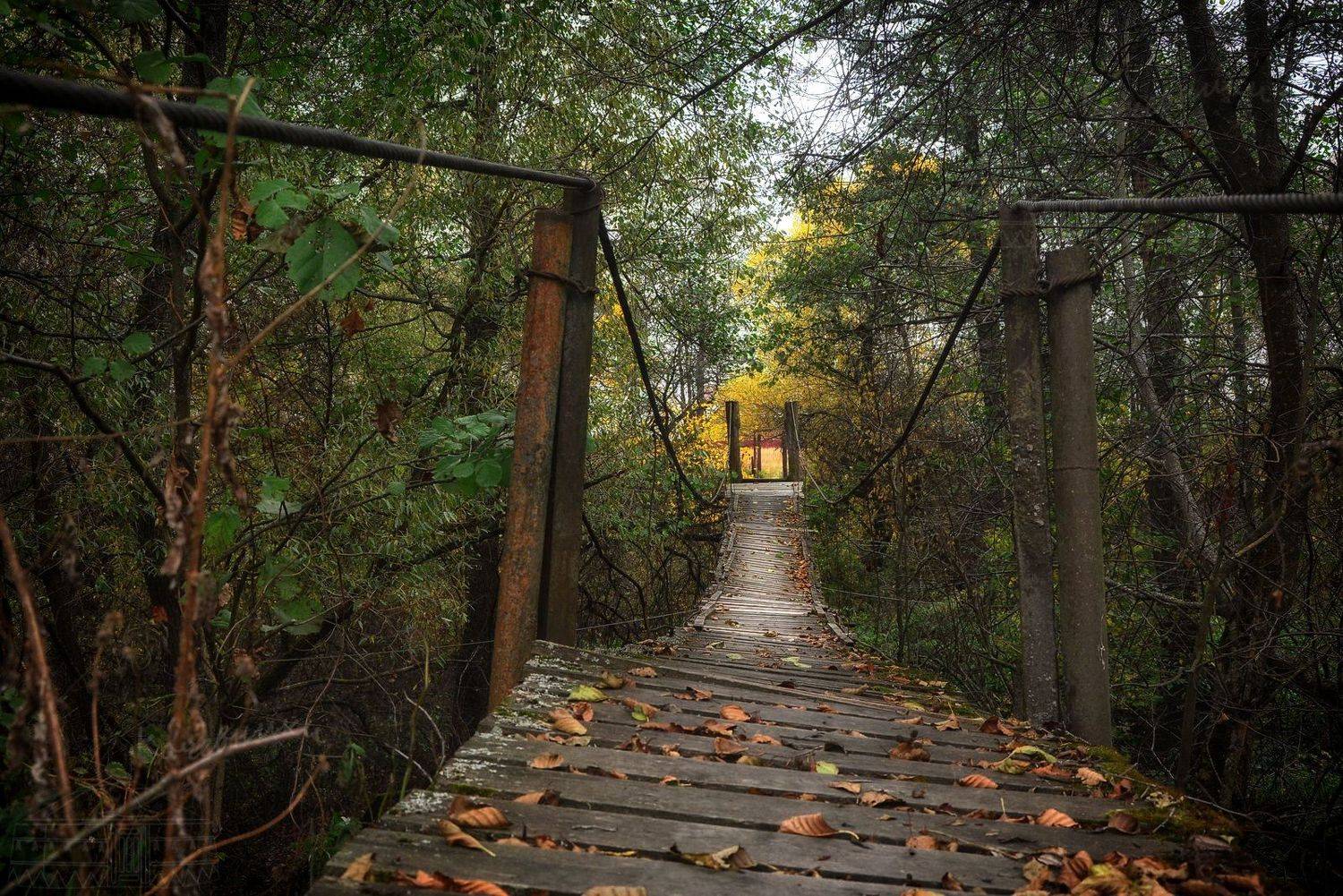 осень, мост, Юлия Абрамова