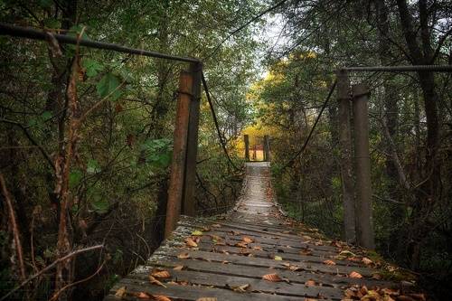 Дорога в осень