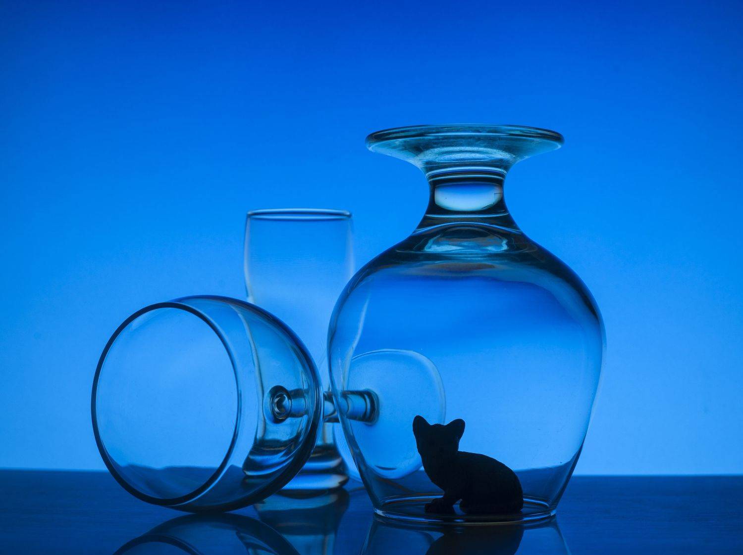 , Оксана Евкодимова