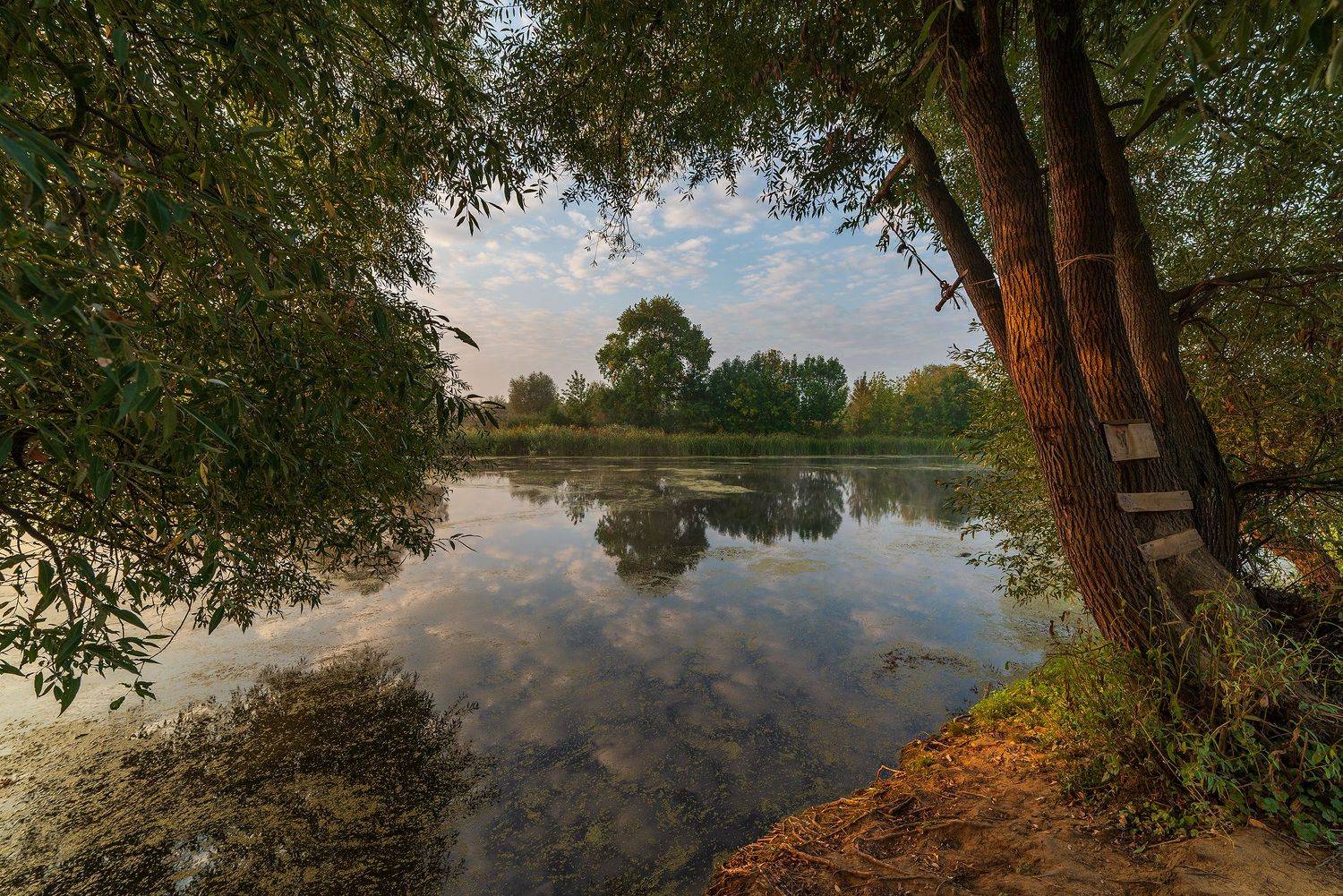 , Дмитрий Новоселов