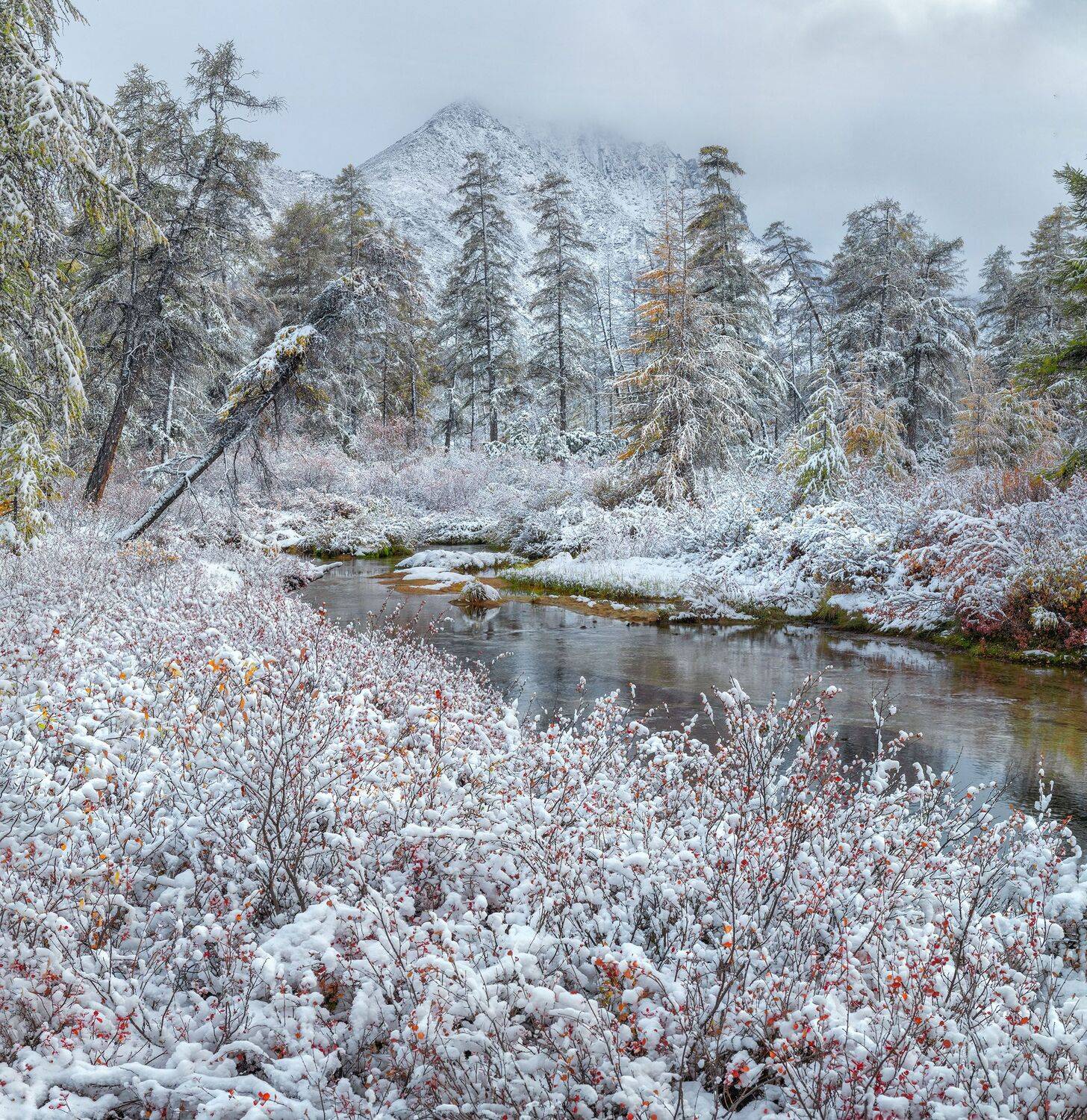 Фототуры с Владимиром Рябковым, озеро Джека Лондона, #озероджекалондона #колыма #loves_russia2 #nikonrussia #landscape_russia #ru_landscape #русскийсевер #landscapephotography #photoarena_nature #Russiannature #большаястрана#russpasibo #topnature #lovelyR, Владимир Рябков