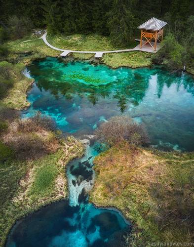 Zelenci