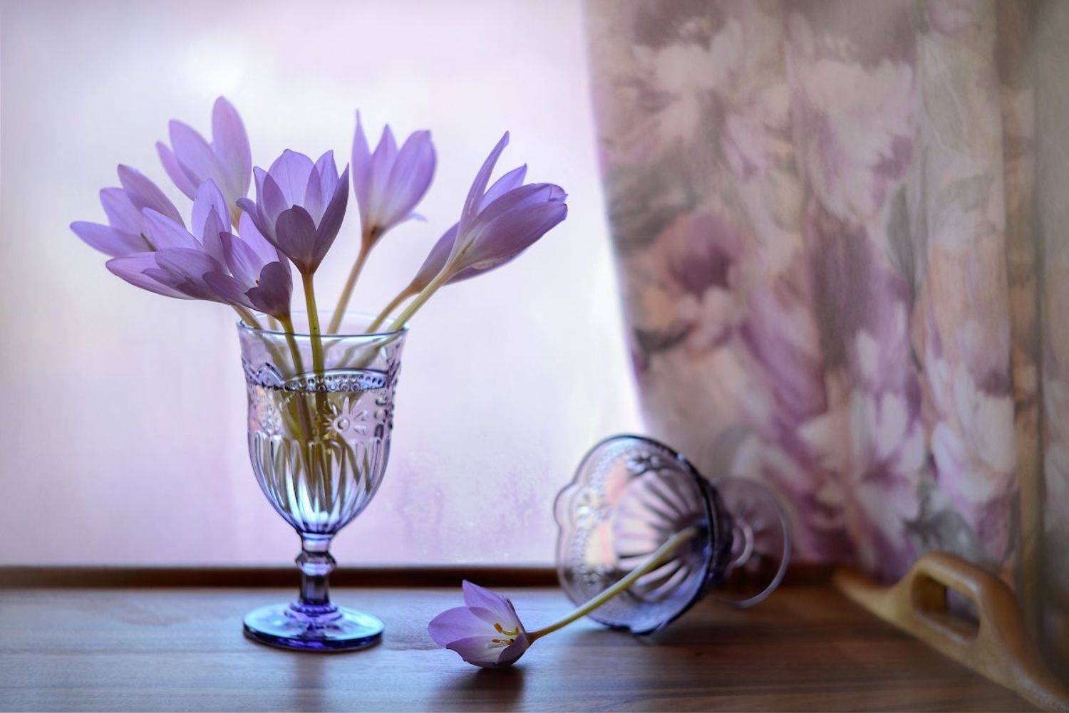 , Марина Никифорова