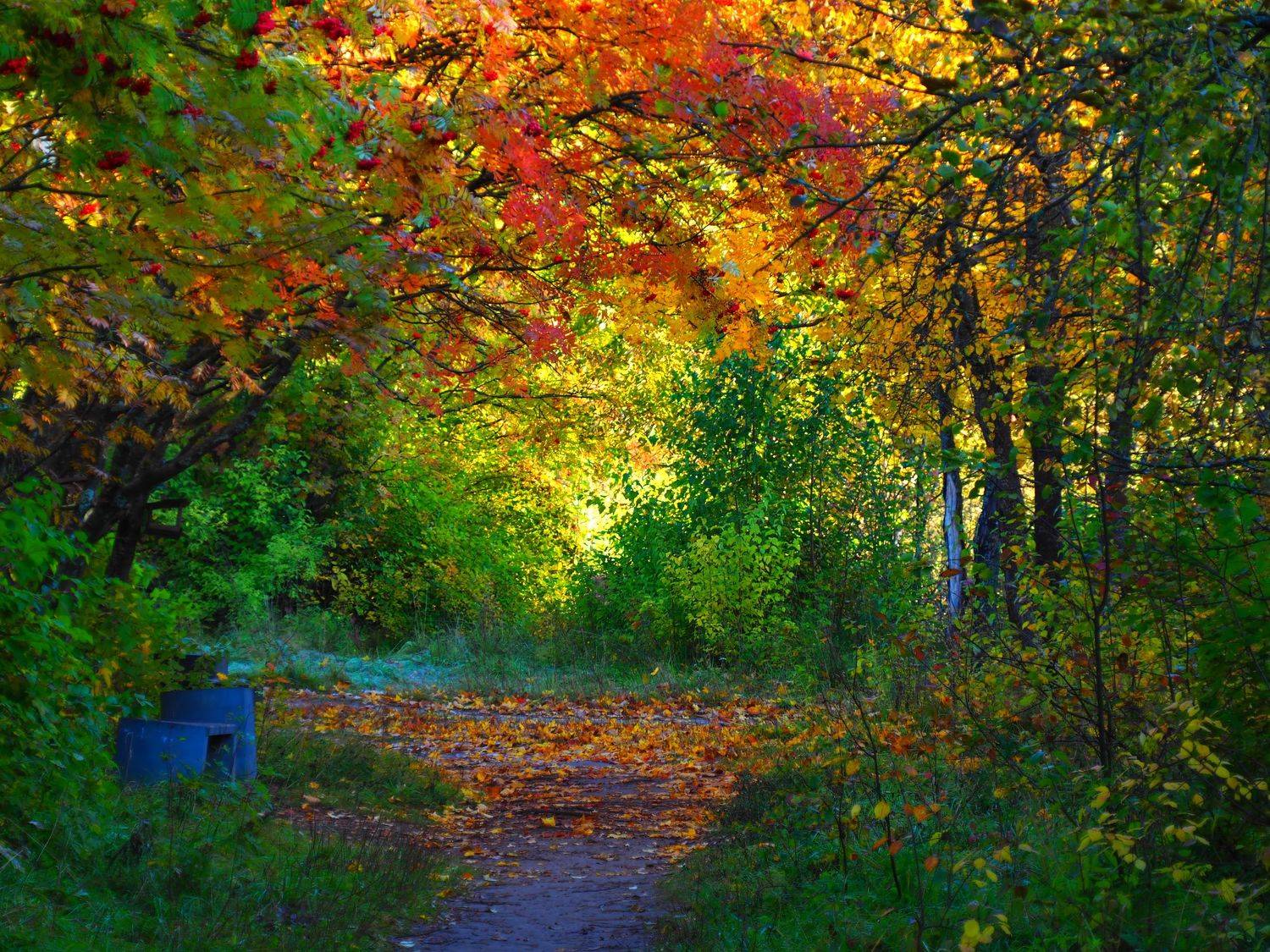, Андрей Перешеин