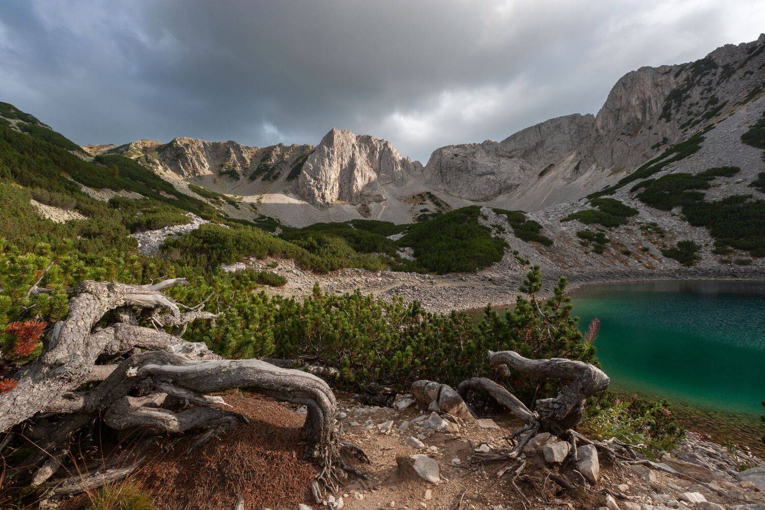 , Александър Сандев
