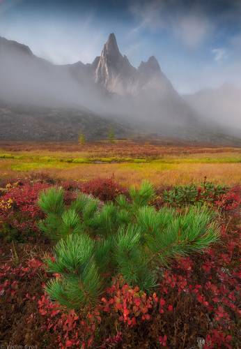 Краски колымской осени