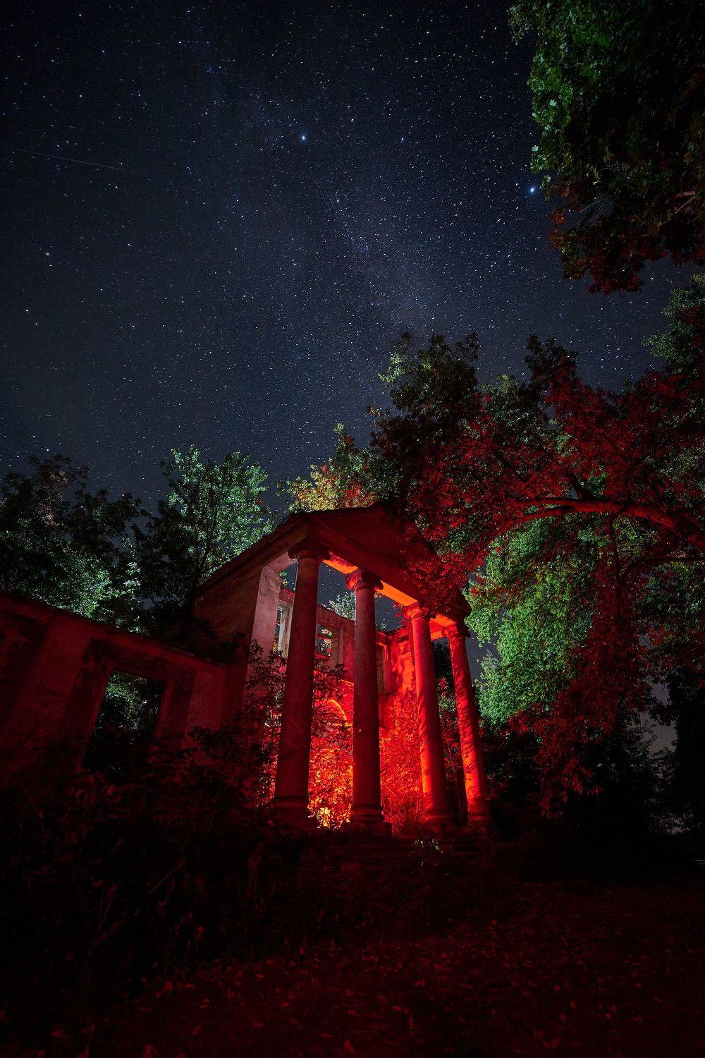 , Александр Фанковин