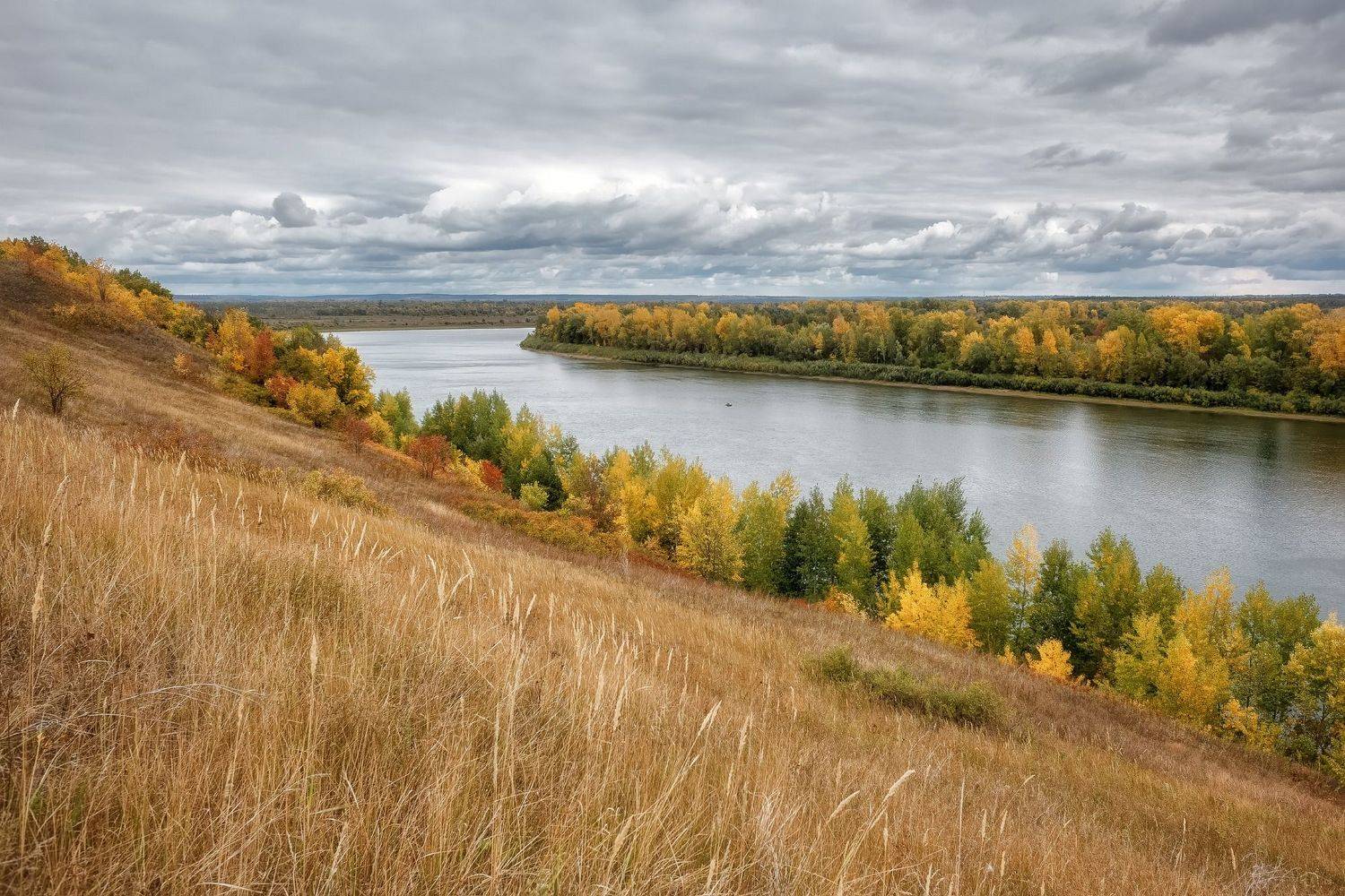 , Алексей Никитин