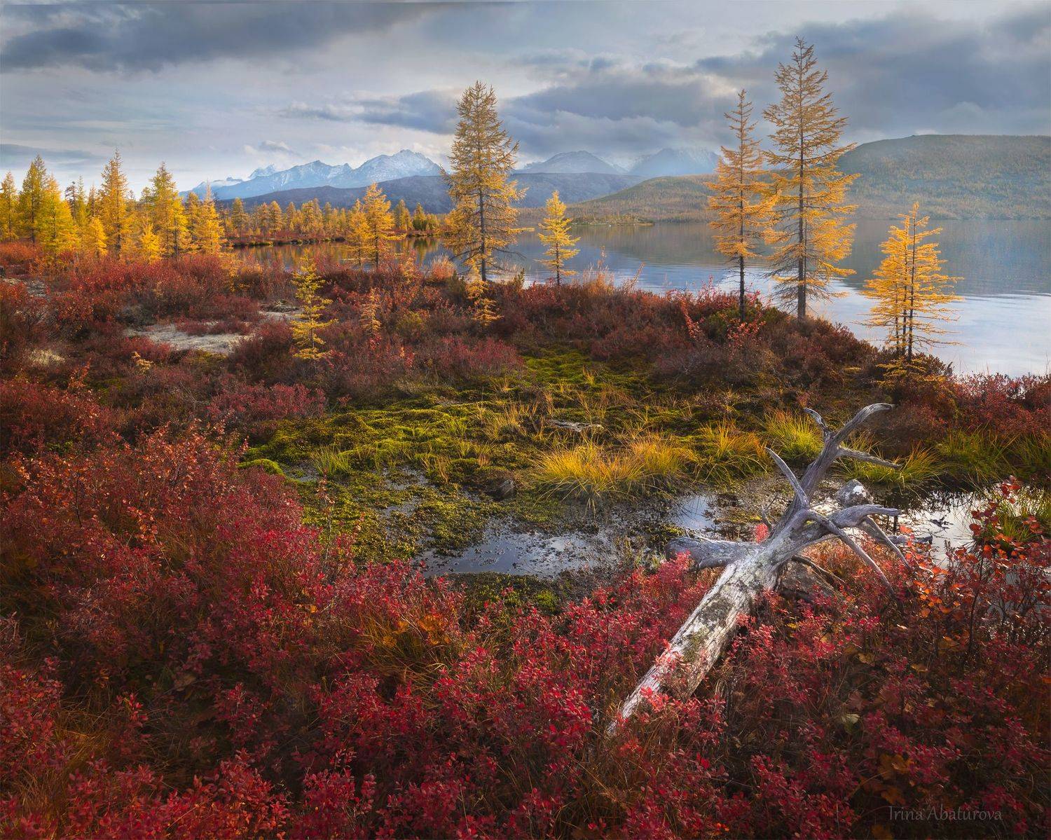 Колыма, Магадан, озеро Джека Лондона, осень, Ирина Абатурова