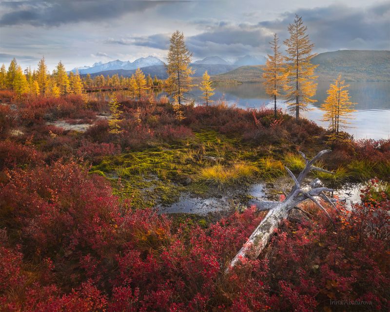 Колыма, Магадан, озеро Джека Лондона, осень *** фото превью