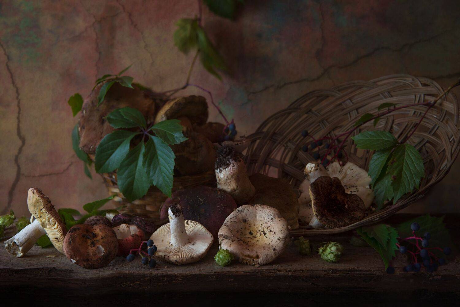 сыроежки,этюд,натюрморт,осень, Елена Брежицкая