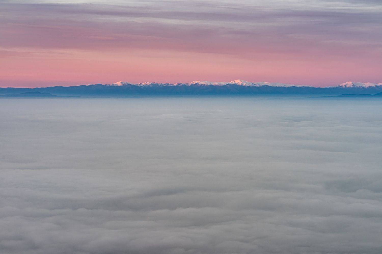 , Пламен Куденко