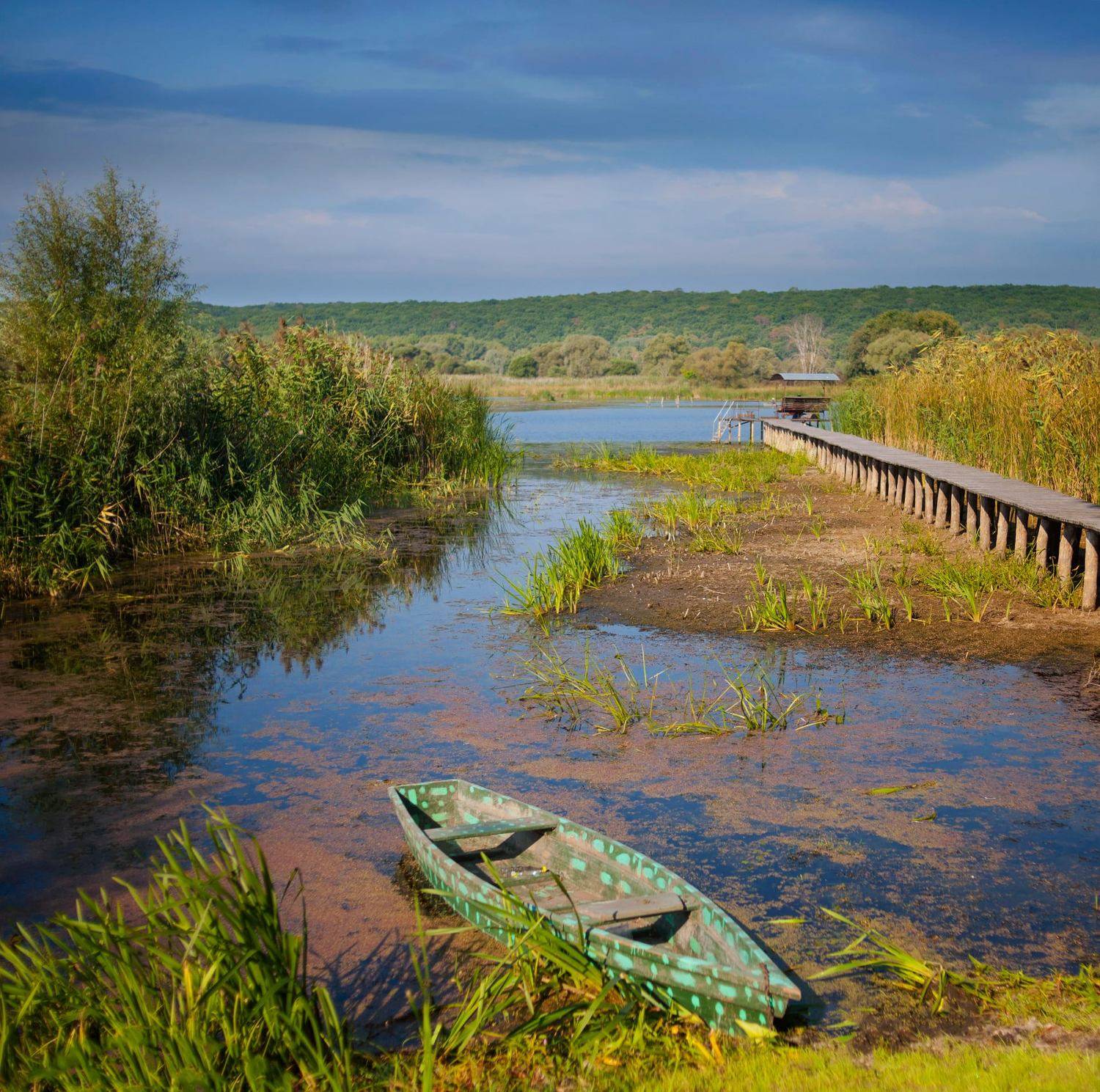 лето, река, берег,пейзаж ,лодка, Roma  Chitinskiy