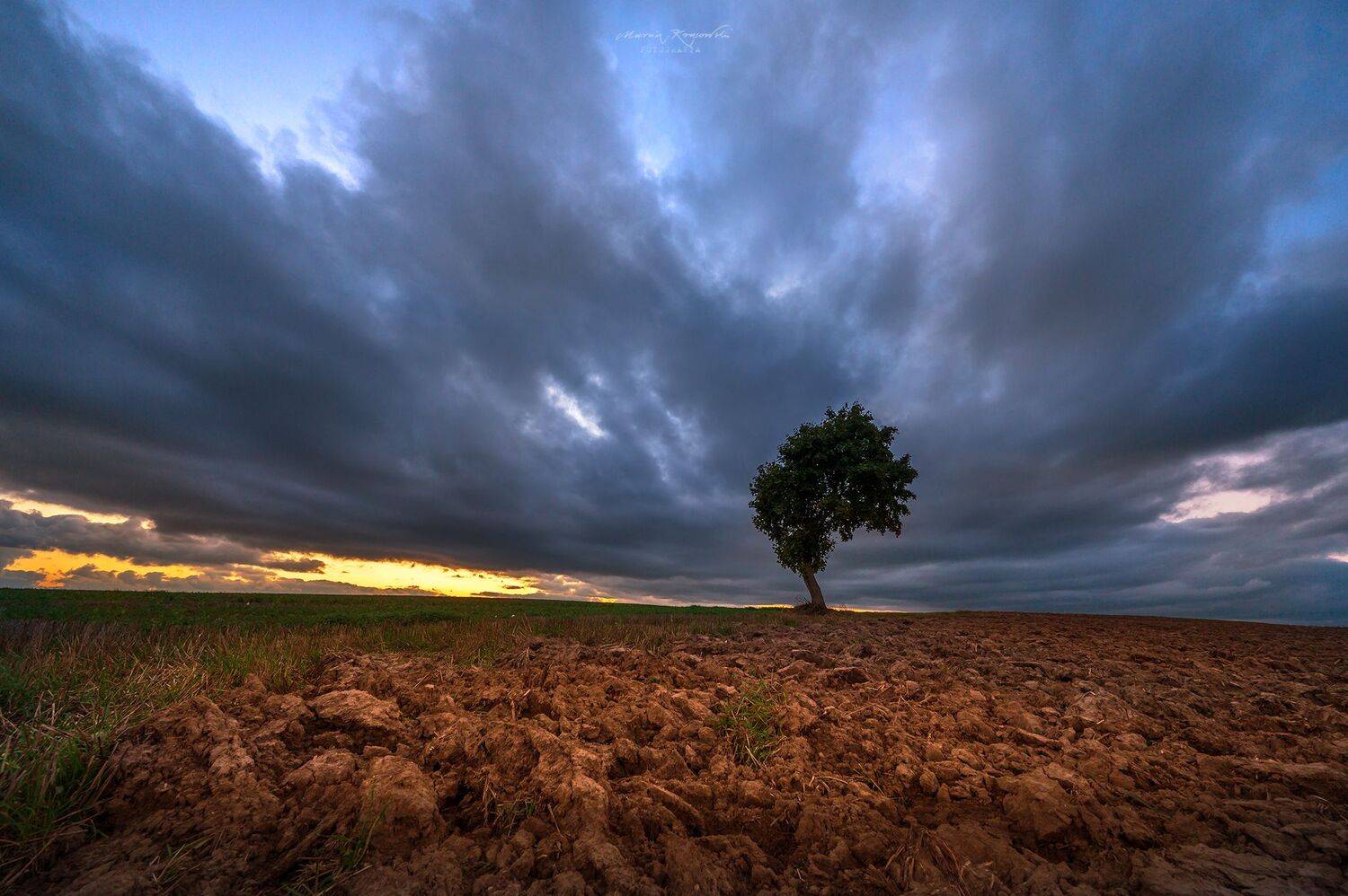 , Marcin Krasowski
