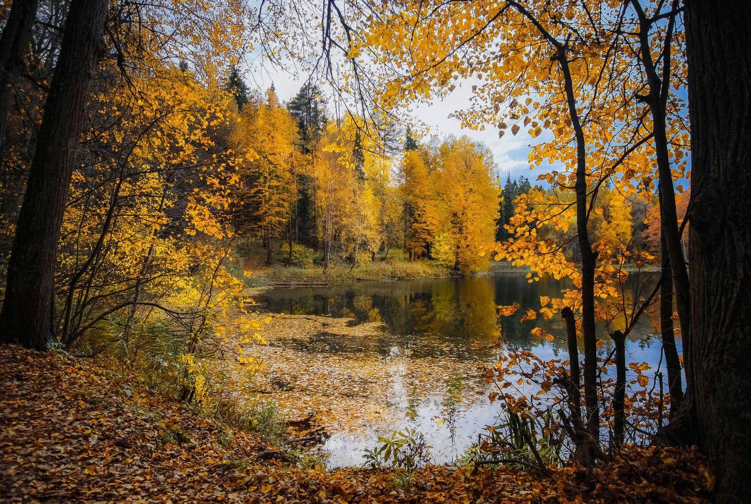 , Екатерина