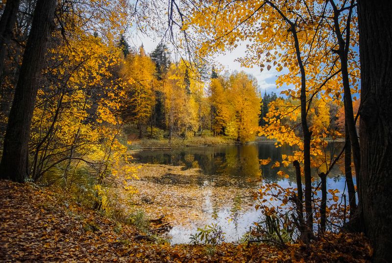 Окошко в осень фото превью