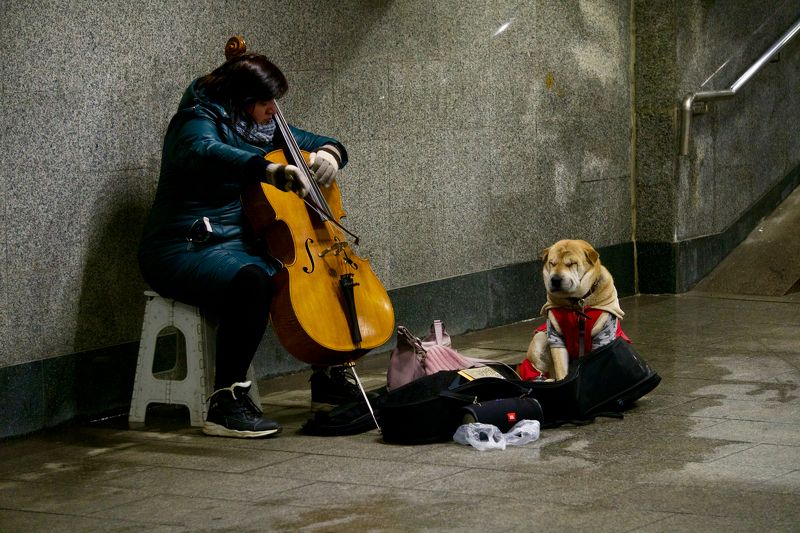 фото превью