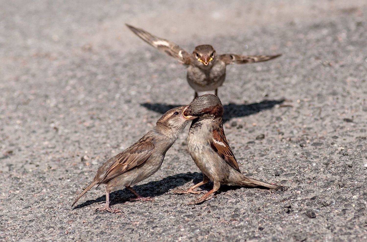 , Татьяна Москальчук