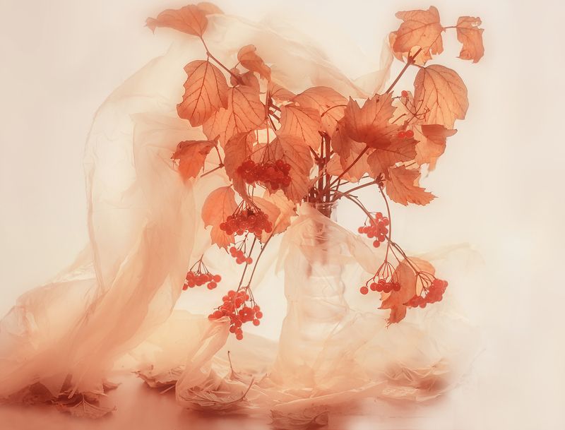 С калиной и пакетами фото превью