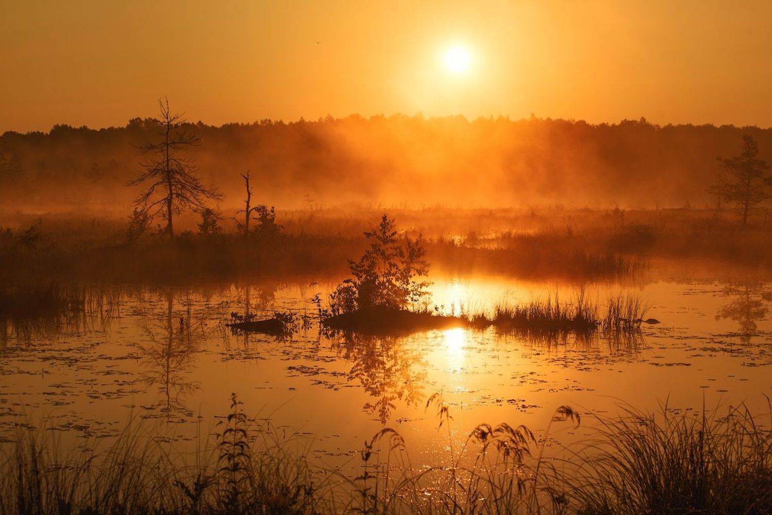 , Александр Овсенёв