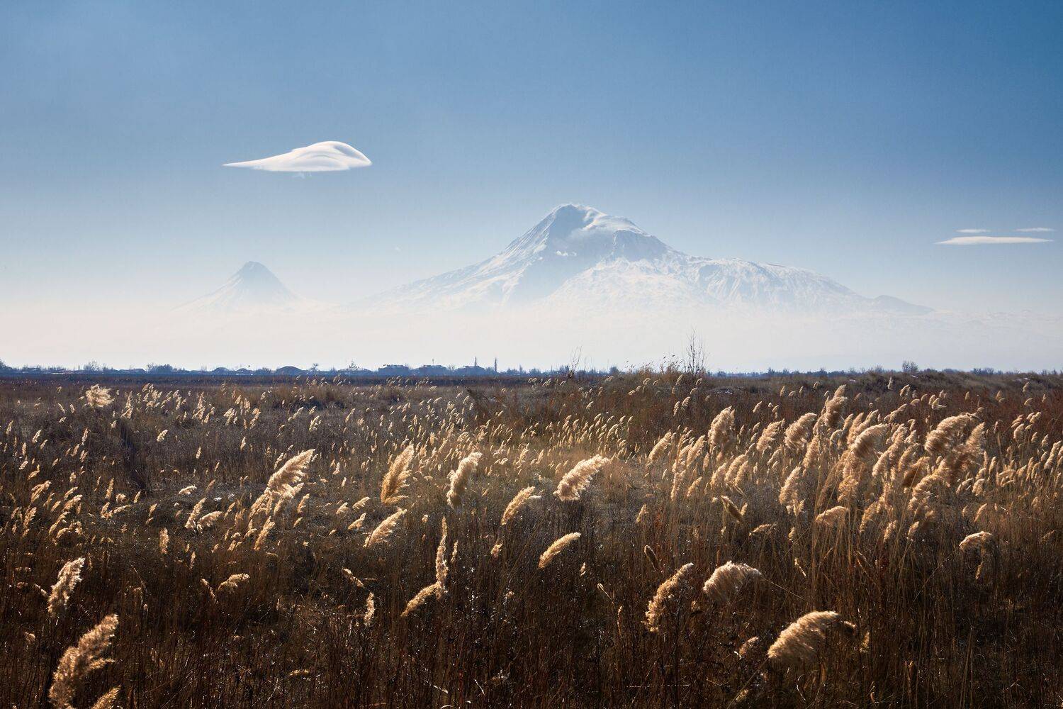 , Антон Кононов