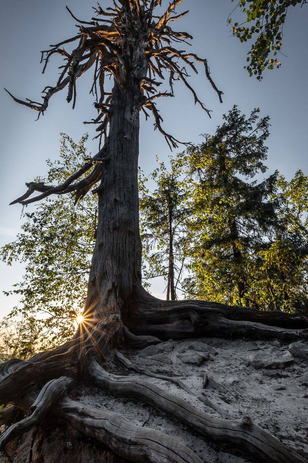 Пермский край, Усьва, Каменный город, Вадим Коротеев