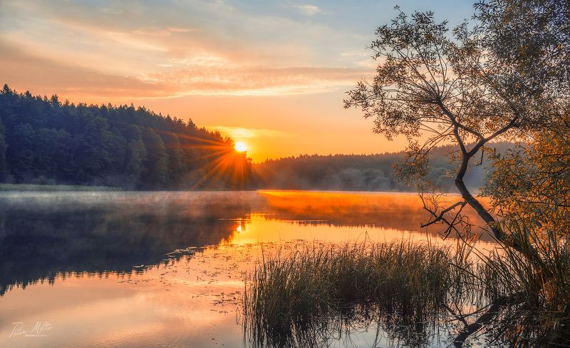 тишина, фотографминск, petermilto, belarus, nature, природабеларуси, вяча Восход на Вяче фото превью
