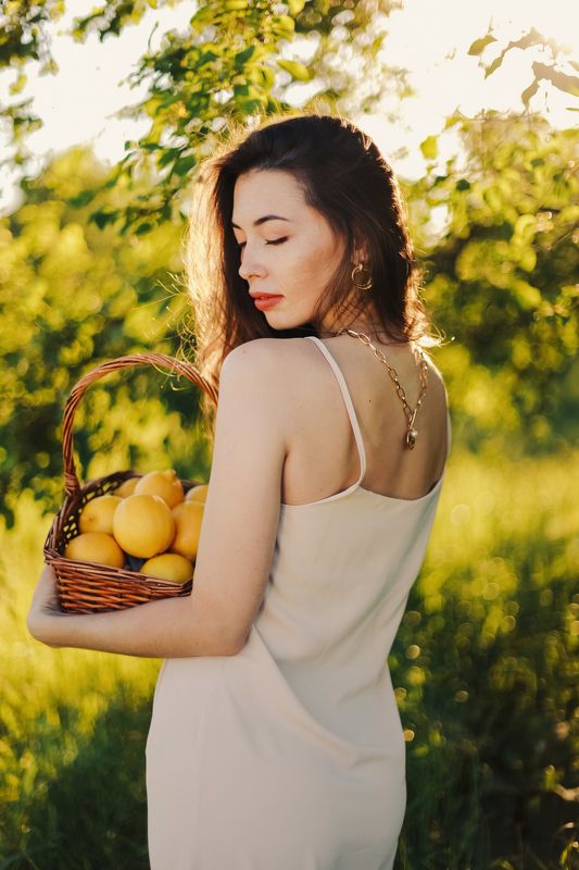 Лимоны фото превью