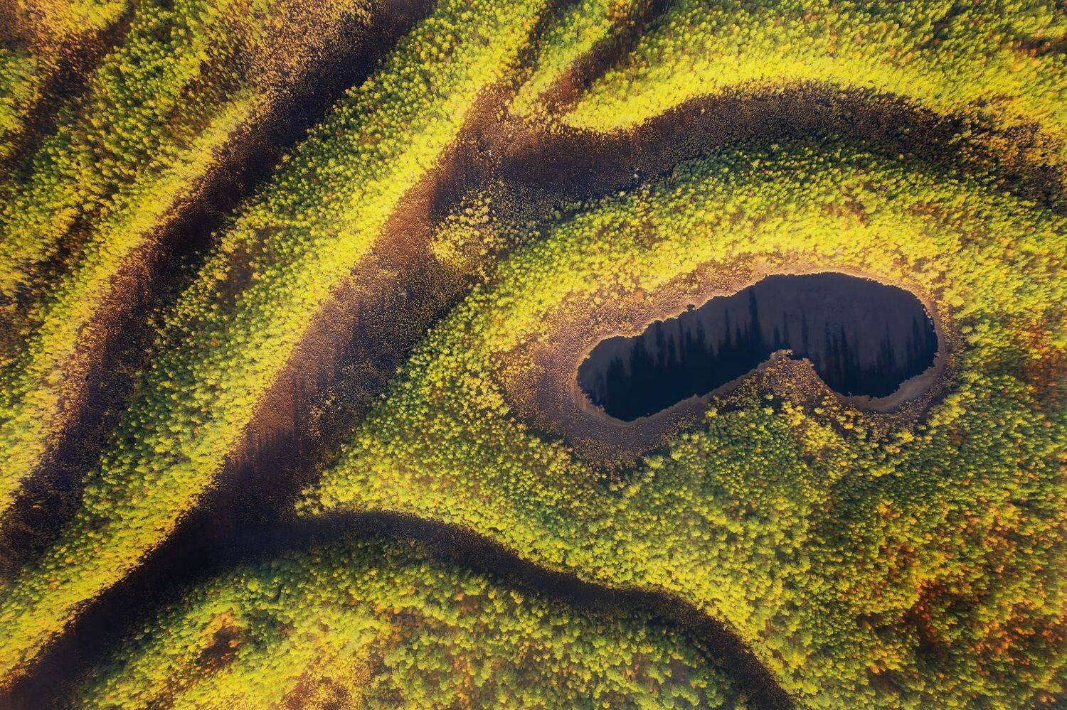 , Павел Глушков