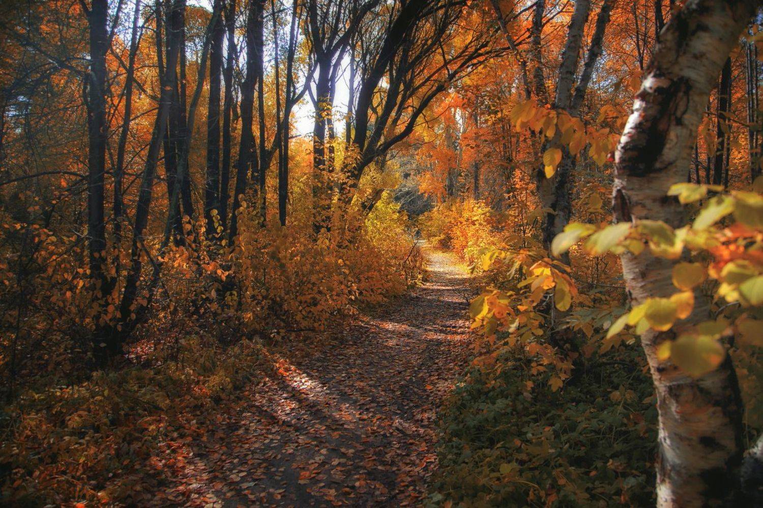 , Евгений Зинов