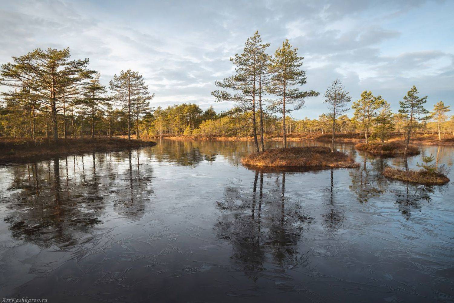 болото, болотные топи, ленобласть, ленинградская область, острова, сосны, отражение, осень, Арсений Кашкаров